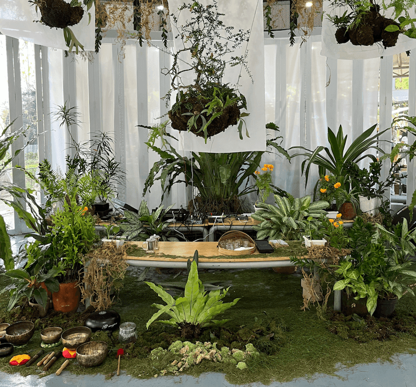 SINGING PLANT INSTALLATION